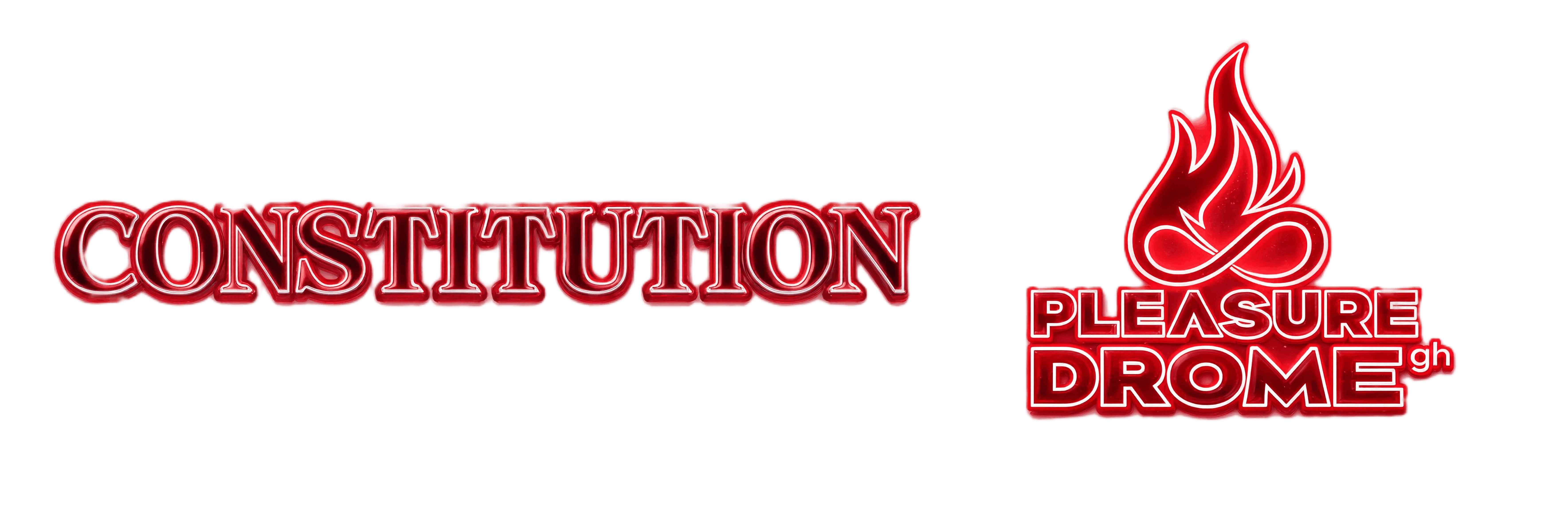 PleasureDrome Community Constitution